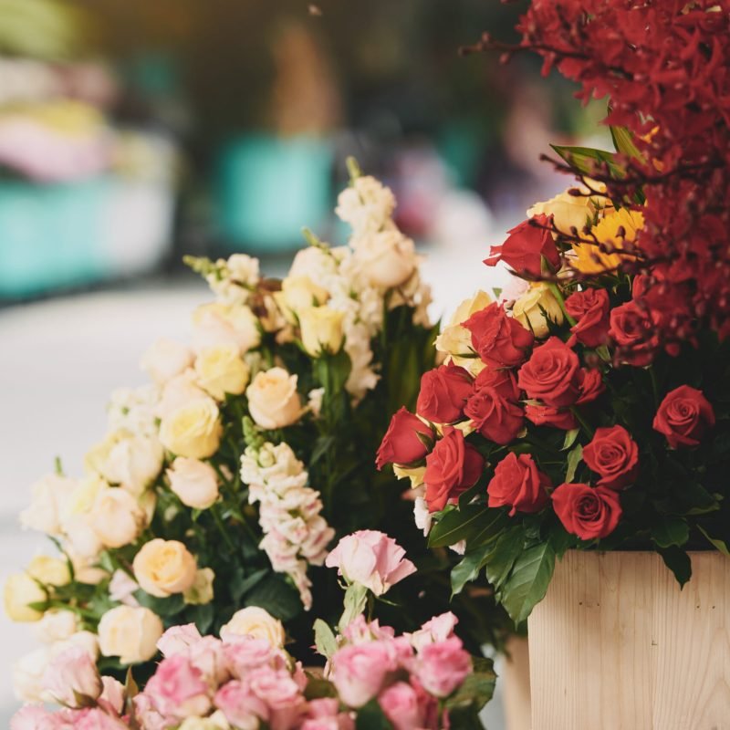 Beautiful roses of diffrent colors on counter of florist
