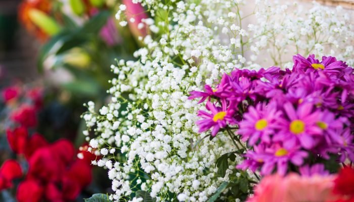colorful-flower-bouquet-2026-01-06-10-55-18-utc