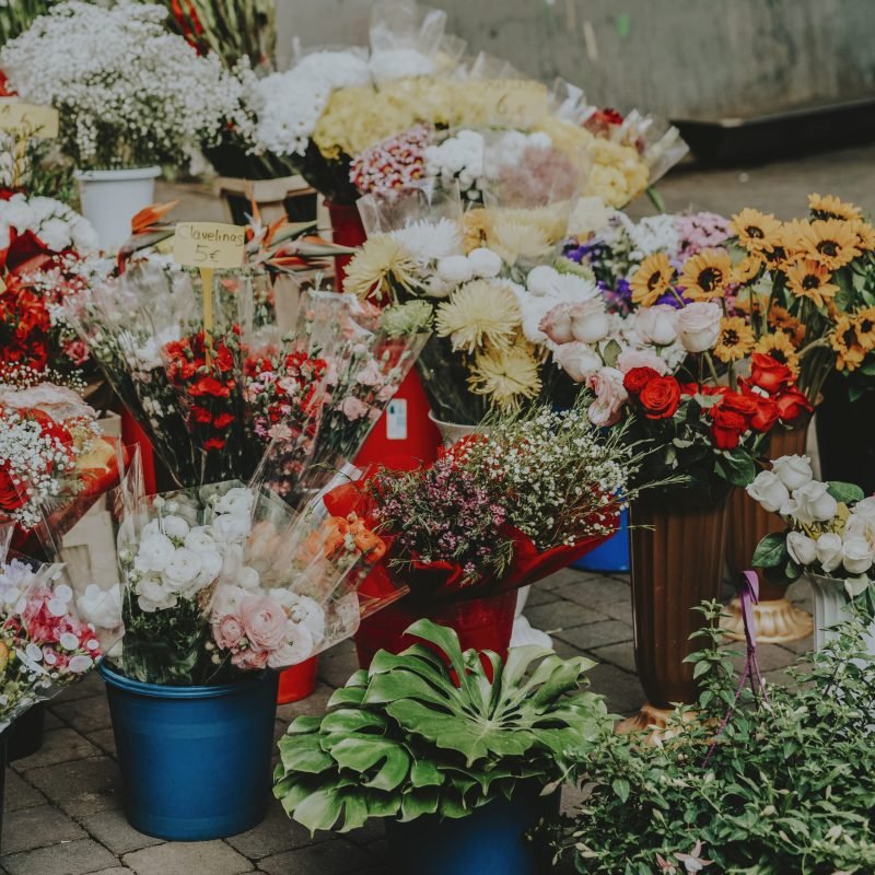 flores 2