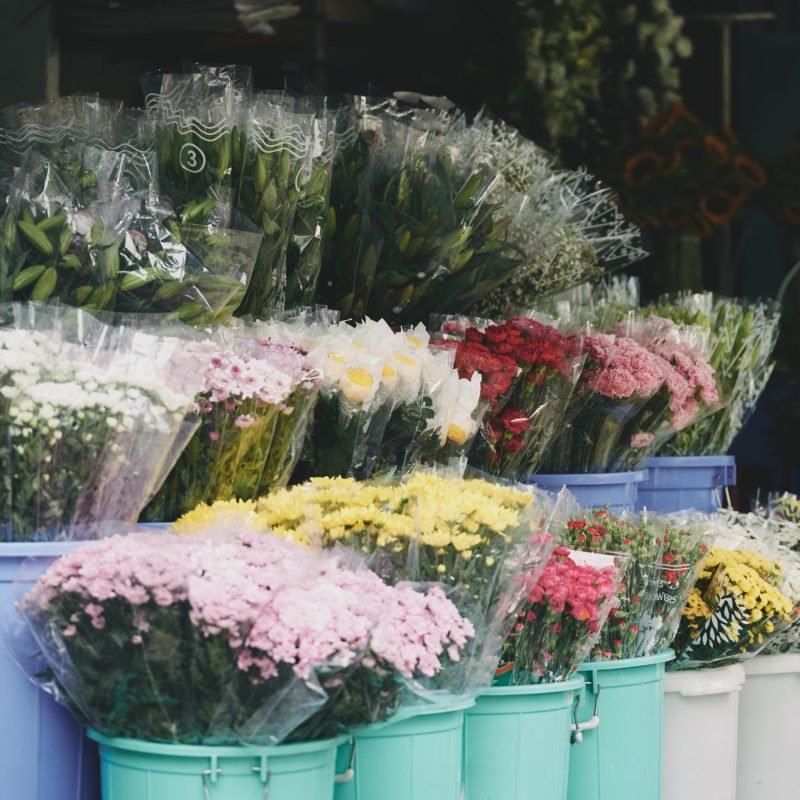 Flores 3