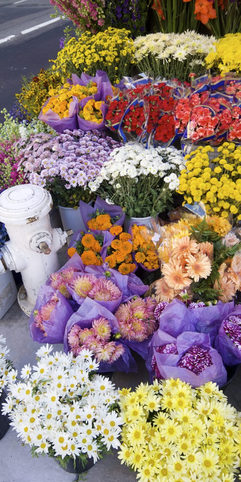 numerous-bouquets-of-flowers-and-gifts-to-be-purch-2026-01-09-14-42-34-utc